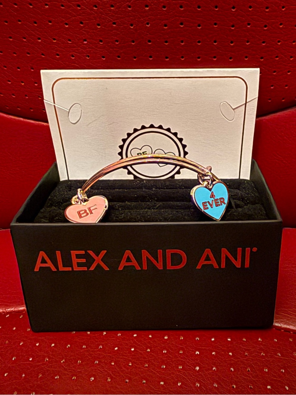 Alex and Ani Color Infusion Best Friends Duo Charm Expandable Bracelet